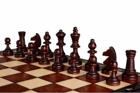 Magnetisch schaakspel 35 x 35 cm 11