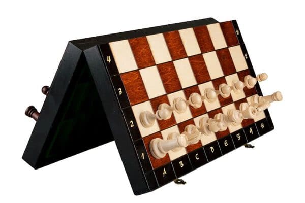 Magnetisch schaakspel 35 x 35 cm