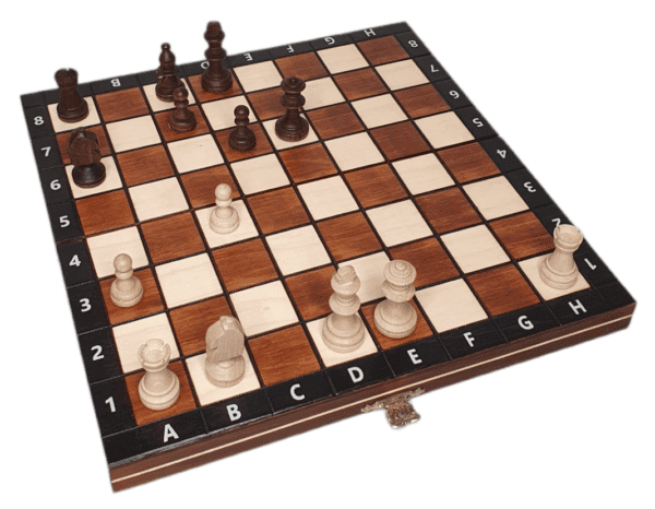 Magnetisch schaakspel